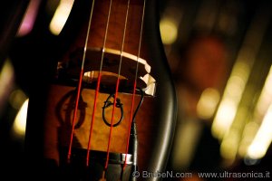 Mick Harvey @ Spazio 211 - Torino - Foto di BrubeN