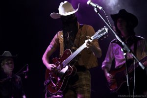 orvillepeck-circolomusica_06