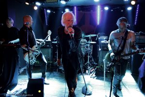 radiobirdman_03