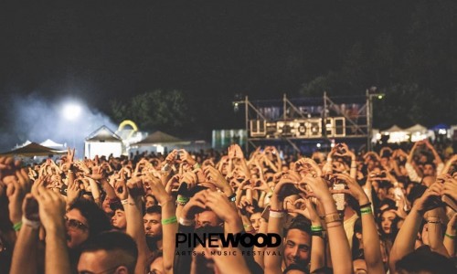 Pinewood Festival  - ci rivediamo nel 2021