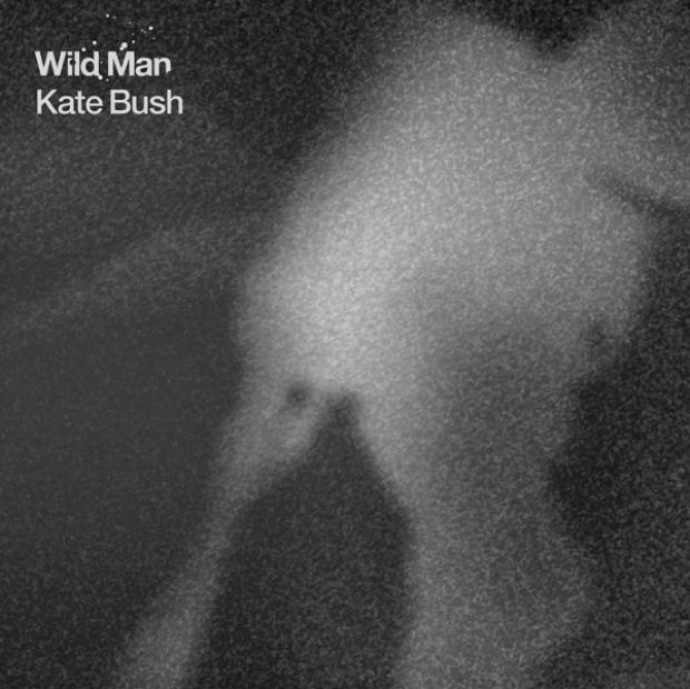 Nuovo album per Kate Bush