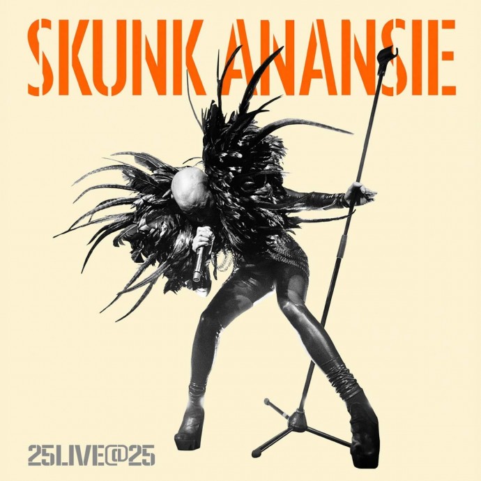 Sonic Park: Skunk Anansie a Stupinigi e Bologna - 25 anniversario