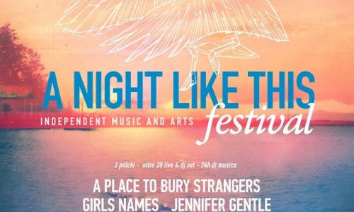 A Night Like This Festival, sab. 18/7 a Chiaverano (TO) con A Place To Bury Strangers, Drink To Me, Jennifer Gentle, Girls Names & more
