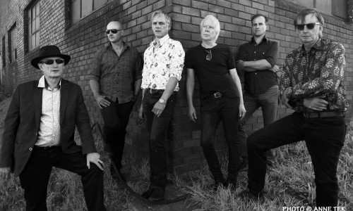 Wire, Radio Birdman, King Mastino: i prossimi concerti a Spazio211 di Torino.