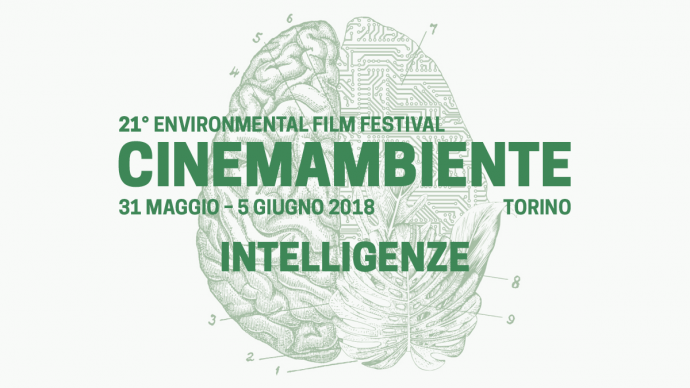  21° Festival Cinemambiente, Torino: Repliche dei lungometraggi del Concorso internazionale premiati 