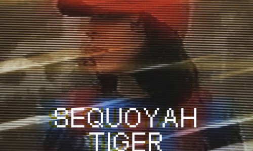 Tour promozionale del nuovo disco di SEQUOYAH TIGER, fuori per Morr Music! Video di 'Hey Paul Anka'