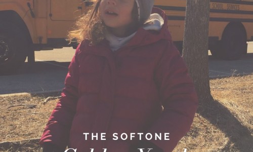 The Softone: esce oggi il nuovo album 