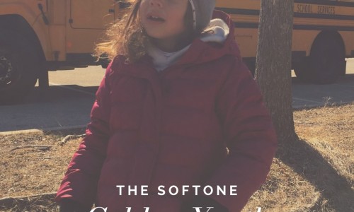 The Softone: esce oggi il nuovo album 